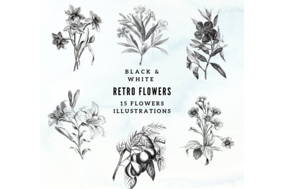 Download Vintage Botanical Illustrations - Botanical illustrations Collection