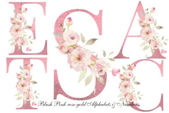 Download Blush Pink Rose Floral Alphabet Clipart - Premium Resources