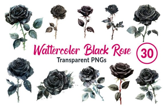 Download Watercolor Black Rose Clipart - Rose Collection
