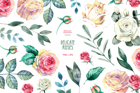 Download Watercolor Delicate Roses Cliparts - Rose Collection