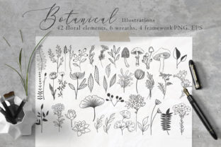 Download Floral Botanical Illustrations - Premium Bundle