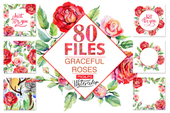 Download Roses Red Watercolor Flower Set - Rose Collection