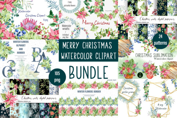 Download Christmas Set, Botanical Illustrations, - Premium Bundle