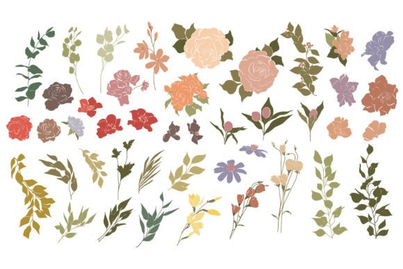 Download Botanical Illustrations Set - Premium Resources