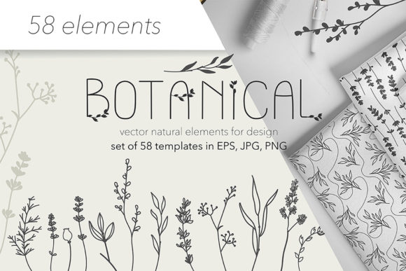 Download Botanical Illustrations Collection - Premium Resources